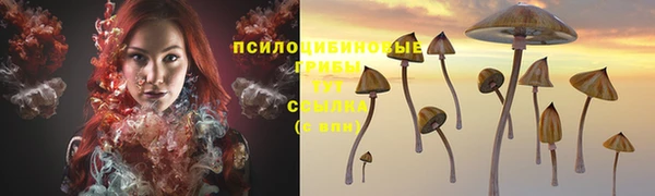 МДМА Няндома