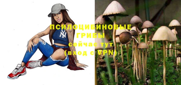 PSILOCYBIN Балахна