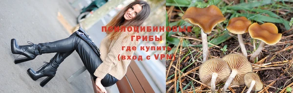 PSILOCYBIN Балахна